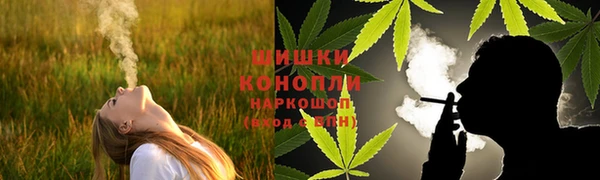 бутират Богданович