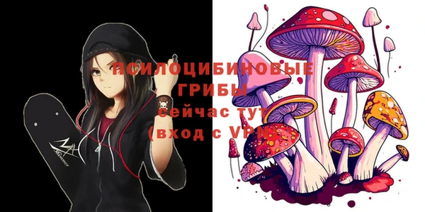 бутират Богданович