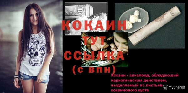 спайс Богородицк